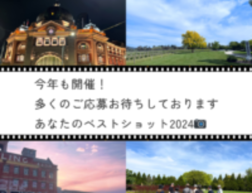 今年もやります！あなたのベストショット2024